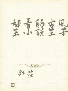 好看的古风双男主小说生子