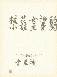 校花女神的堕落小说免费阅读无弹窗