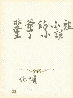 裴爷的小祖宗重生了 小说