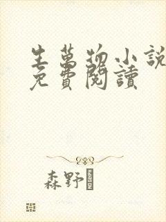 生万物小说原著免费阅读