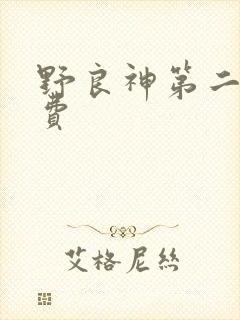 野良神第二季免费