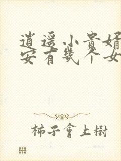 逍遥小贵婿李辰安有几个女主