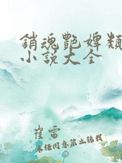 销魂艳婢类似的小说大全