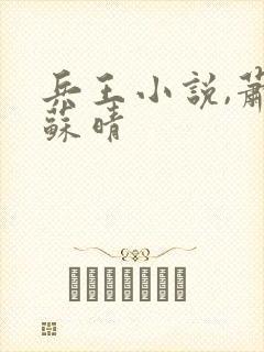 兵王小说,萧晨苏晴