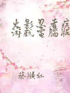 火影忍者疾风传游戏电脑版