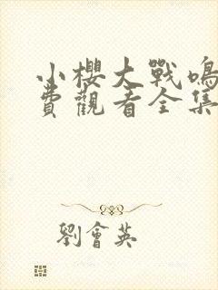 小樱大战鸣人免费观看全集动漫中文版