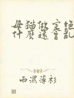 母猫做完绝育为什么还会乱尿