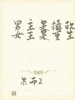 男主是摄政王,女主是重生