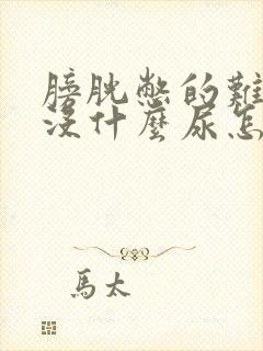 膀胱憋的难受又没什么尿怎么回事