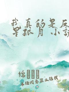 我真的是反派寒星孤月 小说