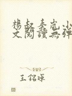 杨叔秦岚小说全文阅读无弹窗