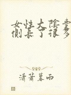 女性大阴囊唇内侧长了很多小水泡