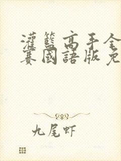 灌篮高手全国大赛国语版免费观看