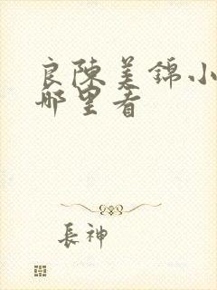 良陈美锦小说在哪里看