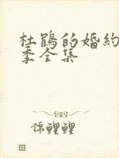 杜鹃的婚约第二季全集