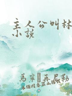 主人公叫林云的小说