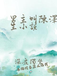 男主叫陈泽的重生小说