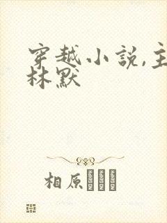 穿越小说,主角林默