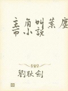 主角叫叶尘的都市小说