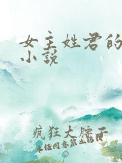 女主姓君的穿越小说