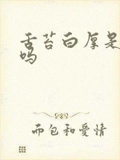 舌苔白厚是湿热吗