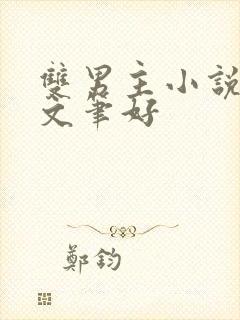 双男主小说推荐文笔好