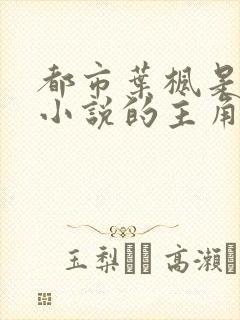 都市叶枫是哪个小说的主角