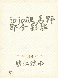 jojo飙马野郎全彩版