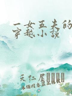 一女五夫的小说穿越小说