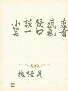 小说发疯爽文爆笑一口气看完