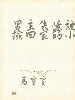 男主失忆被女主捡回家的小说