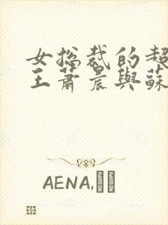 女总裁的超级兵王萧晨与苏晴