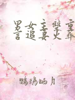 男女主双重生古言追妻火葬场