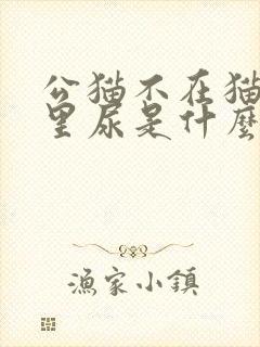 公猫不在猫砂盆里尿是什么原因