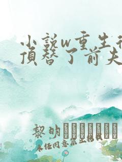 小说w重生后我顶替了前夫白月光,