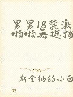 男男18禁激情啪啪无遮挡网址