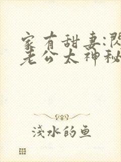 家有甜妻:闪婚老公太神秘