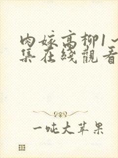 肉嫁高柳1～4集在线观看