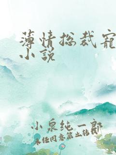 薄情总裁宠甜妻小说