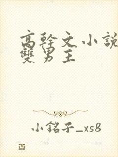 高干文小说推荐双男主