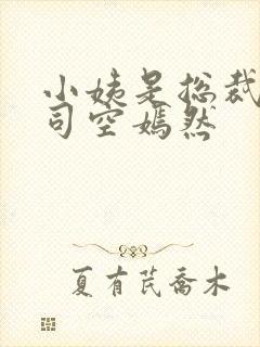 小姨是总裁叶凡司空嫣然