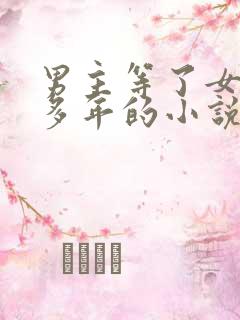 男主等了女主很多年的小说