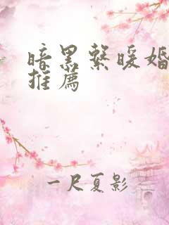 暗黑系暖婚小说推荐