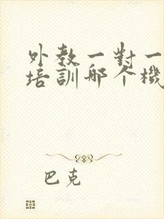 外教一对一口语培训哪个机构好