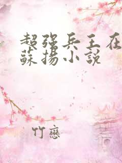 超强兵王在都市苏扬小说