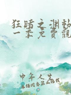 狂赌之渊动漫第一季免费观看