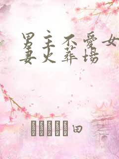 男主不爱女主追妻火葬场