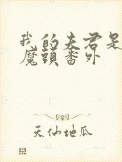 我的夫君是灭世魔头番外