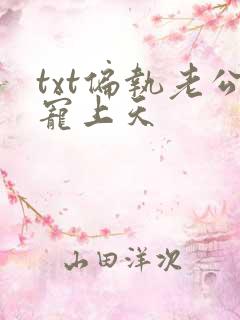 txt偏执老公宠上天