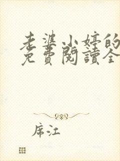 老婆小婷的小说免费阅读全文